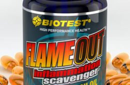 BIOTEST FLAME OUT OMEGA 3