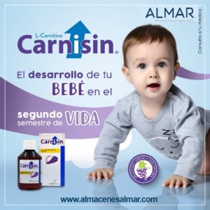 l carnitina jarabe CARNISIN JARABE 180ML