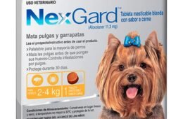 Nexgard 2-4kg/4-8lb Tableta Para Perros Antigarrapatas Y Antipulgas