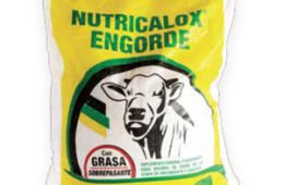NUTRICALOX ENGORDE