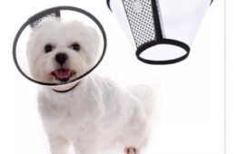 COLLAR ISABELINO SMALL