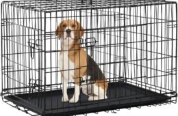 Jaula Para Perro con Bandeja M 30″X19″X22″