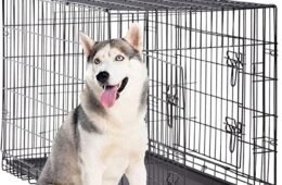 JAULA PARA PERRO CON BANDEJA (XL 42″X27.5″X30″)