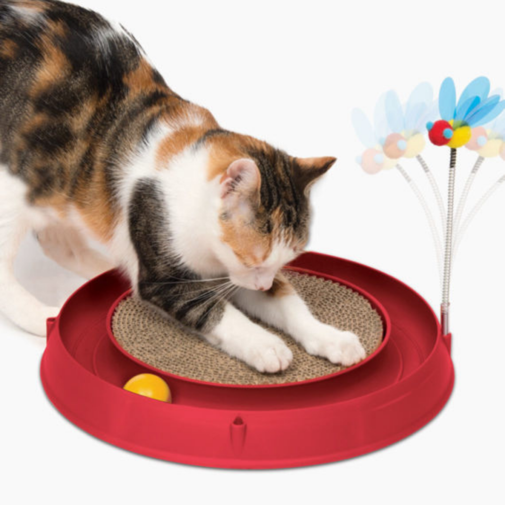 JUGUETE GATO CIRCUITO PELOTA Y ARANADOR