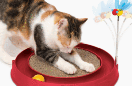 JUGUETE GATO CIRCUITO PELOTA Y ARANADOR