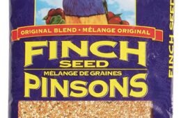 SEMILLA AVE VITAMINADA (PERICO, 3LB)