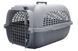 TRANSPORTADOR (GRIS/GRIS CLARO, 26.9″X18.7″X17″)