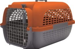 TRANSPORTADOR (NARANJA/GRIS, 22″X14.8″X12″)