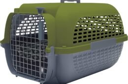 TRANSPORTADOR (VERDE/BLANCO, 26.9″X18.7″X17″)