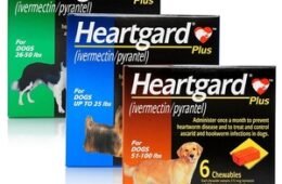 HEARTGARD PLUS (IVERMECTINA/PIRANTEL) – CAJA DE 6 UND