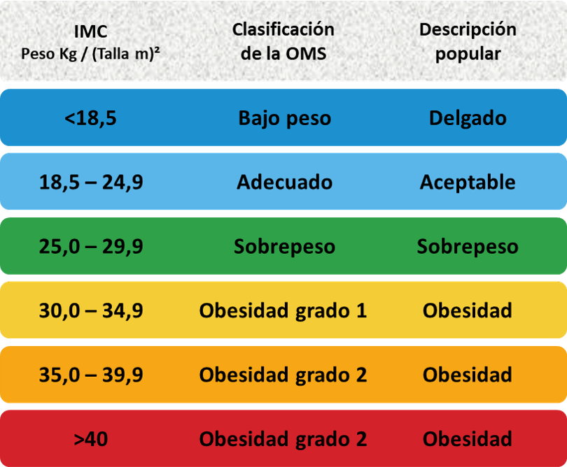 Obesidad e IMC: El Factor que Detiene la Cirugía Plástica (La Importancia de un IMC Bajo)