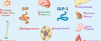 GLP-1 y Péptidos: ¿Milagro para Adelgazar o Riesgo Real?