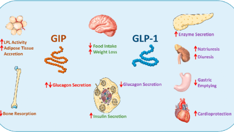 GLP-1 y Péptidos: ¿Milagro para Adelgazar o Riesgo Real?
