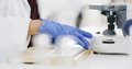 Proteínas Prehistóricas de 160 Millones de Años: La Nueva Esperanza Contra las Superbacterias