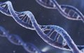 Identifican Marcadores Genéticos en la Arteritis de Células Gigantes: Avances y Perspectivas Clínicas