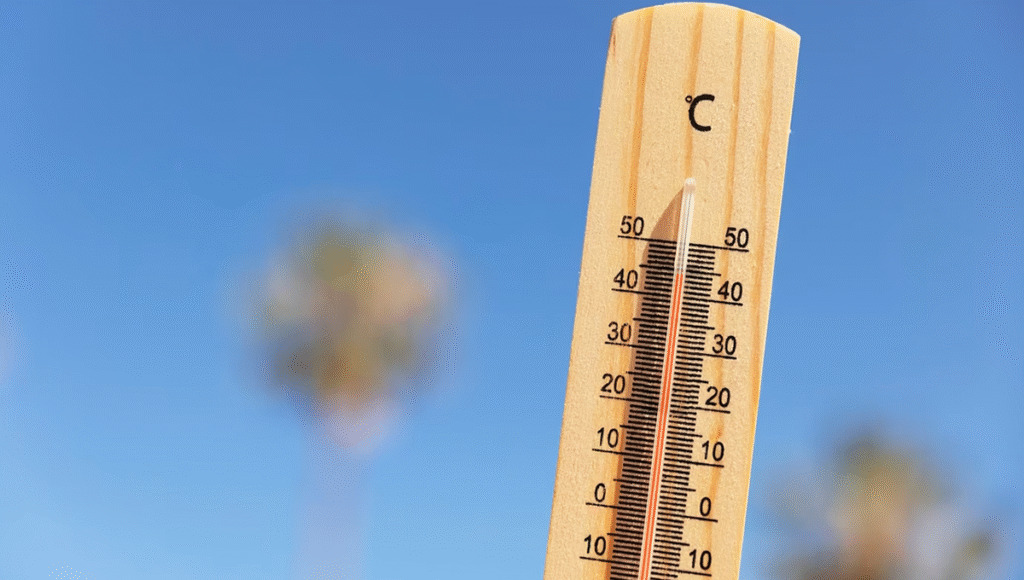 Impacto del Calor Extremo en la Salud: Más de 30 Afecciones Graves Asociadas a Temperaturas Elevadas