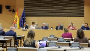 Tensión en el Congreso por la Gestión Sanitaria: Presión Asistencial y Logística en Fronteras