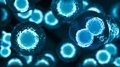 Entrenamiento del Sistema Inmune contra el Cáncer: Nuevos Avances Científicos