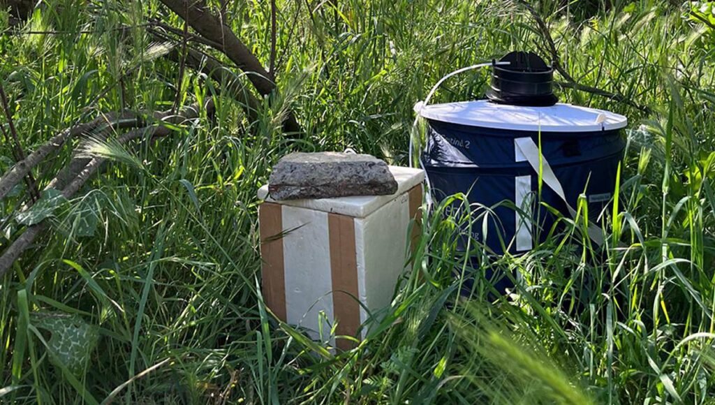 Virus del Nilo Occidental: Análisis Clínico y Preparación Sanitaria Ante Brotes