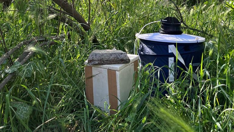 Virus del Nilo Occidental: Análisis Clínico y Preparación Sanitaria Ante Brotes