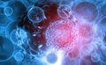 El Sistema Inmunitario Utiliza Algoritmos Biológicos Similares al Machine Learning para Seleccionar Células