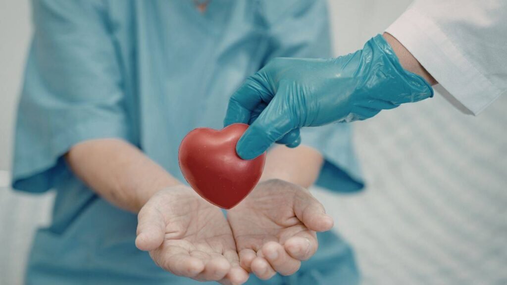 Inversión en Investigación Cardiovascular: Impulso a la Innovación en Dispositivos y Tecnología Médica