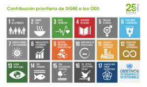 SIGRE y el Enfoque One Health: 25 Años Convirtiendo los ODS en Acción Sanitaria y Ambiental
