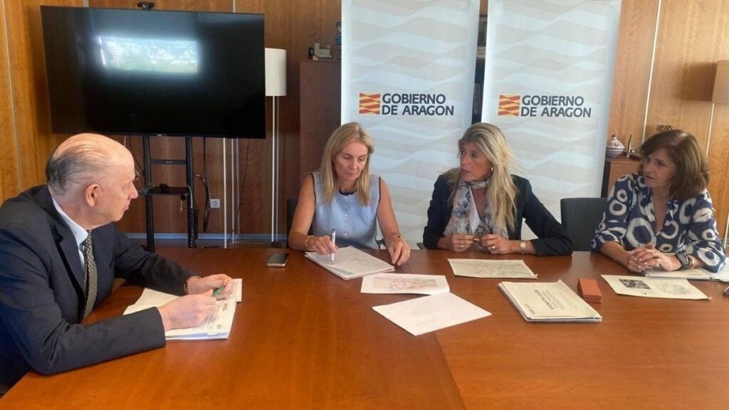 Planificación y Expansión Hospitalaria: Criterios Clínicos en la Ubicación del Nuevo Hospital Royo Villanova