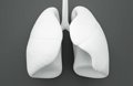 Rejuvenecimiento de las Defensas Pulmonares: El Avance de la Vacuna Nasal