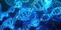 Corrección de Edición Genética en Acidemia Propiónica: Avanzando Hacia la Terapia Molecular