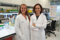 Biopsia Líquida y Neoantígenos: El Avance en Inmunoterapias Personalizadas