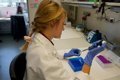 Nueva Combinación de Fármacos Ofrece Esperanza contra el Cáncer de Endometrio de Alto Riesgo