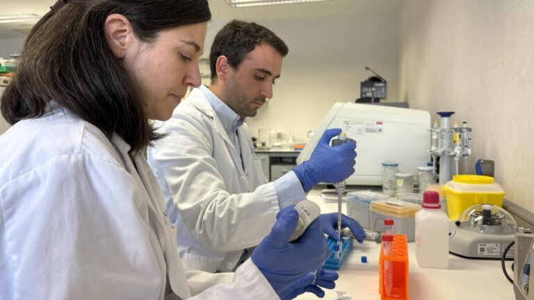 Creación de la Fundación BIOSUR: Impulso a la Investigación Biomédica Hospitalaria