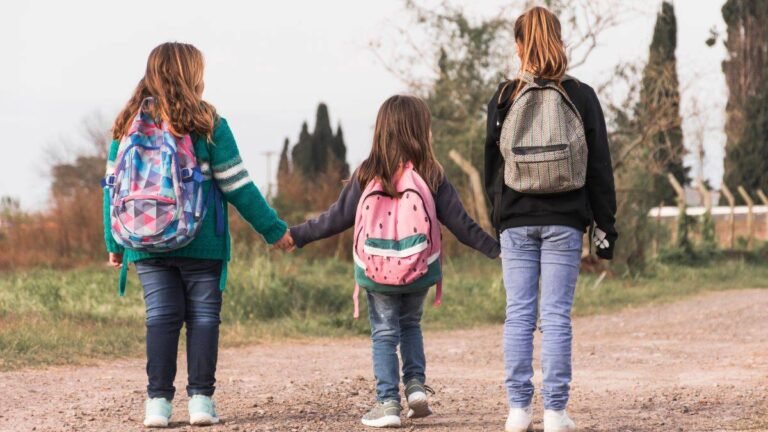 Videojuegos Educativos y Bienestar Emocional: El Piloto Pionero en Valencia y su Impacto Clínico