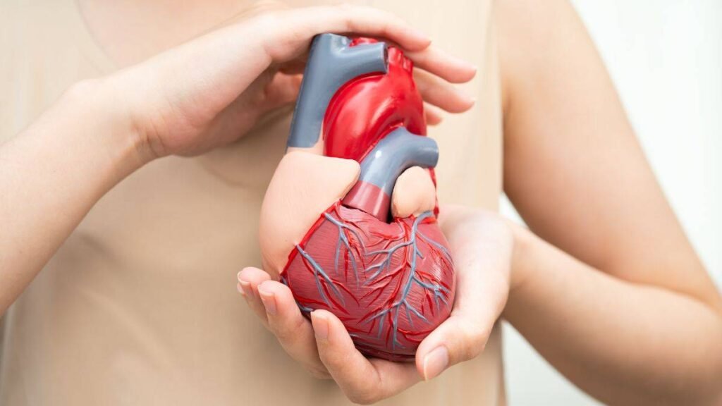 Cardio-Oncología: Por qué los supervivientes de cáncer necesitan seguimiento cardíaco hasta 20 años después