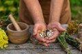¿Lo natural siempre es seguro? El riesgo oculto de suplementos y productos de herbolario en la salud renal y hepática