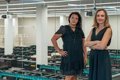Inteligencia Artificial Detecta el Envejecimiento de Células Madre Sanguíneas: Avances y Perspectivas Clínicas