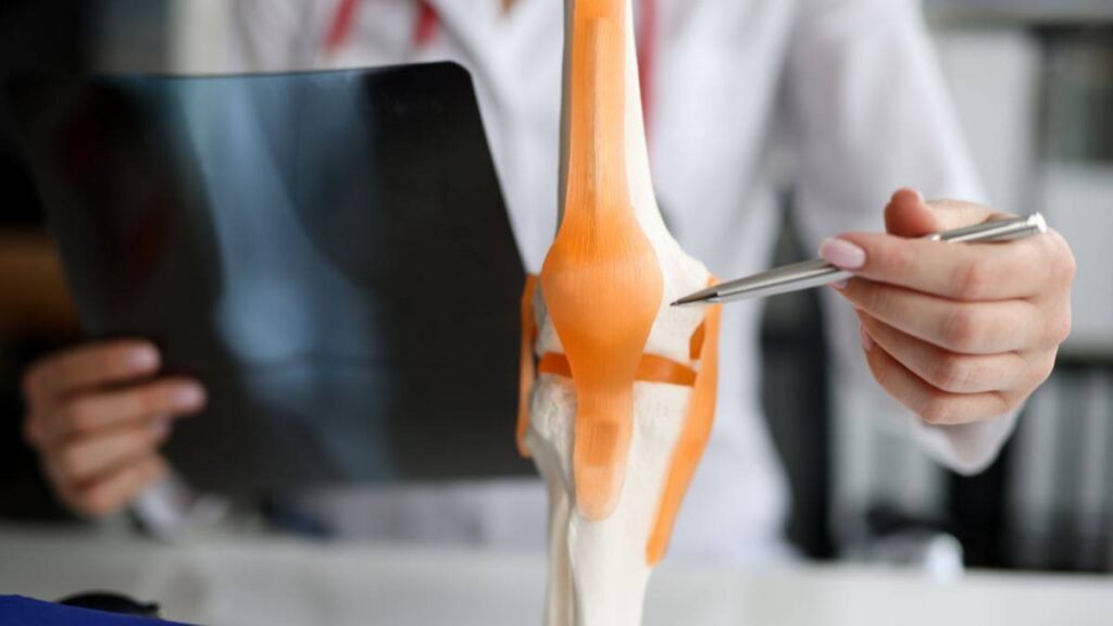 El Impacto de la Nutrición en el Manejo Clínico de las Enfermedades Reumáticas