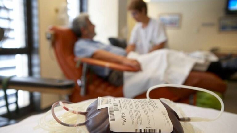 Donación de Médula Ósea: Avances en Registros y Soporte Clínico