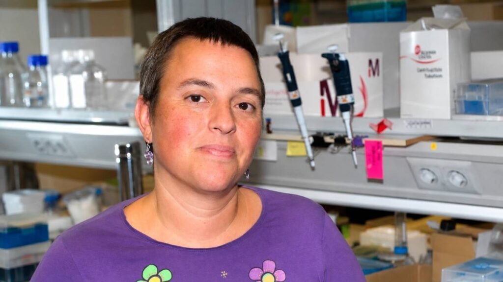 Nanovesículas: Avances en Inmunoterapia y su Impacto en el Sector Salud