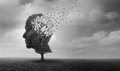 Compuesto Natural Reduce Beta-Amiloide y Mejora la Memoria en Modelos de Alzheimer