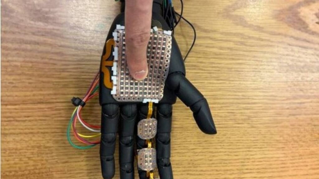 Avances en Ingeniería Biomédica: Diseñan Piel Electrónica Multimodal que Restaura el Tacto y la Temperatura en Prótesis