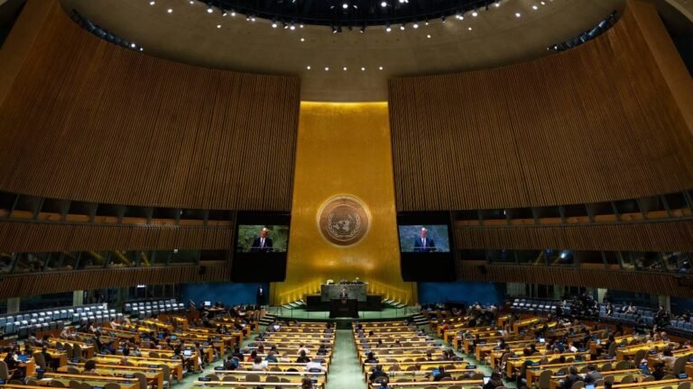 Respuesta Pandémica Global: La Exigencia Farmacéutica en la ONU ante una Próxima Crisis Sanitaria