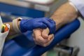 Infecciones por Campylobacter en Inmunodeficiencias: Alerta Clínica y Prevención