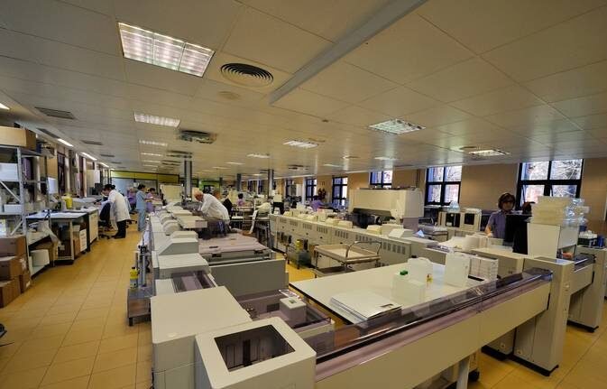 Estrategia One Health en la Resistencia a los Antimicrobianos: Un Enfoque Crítico para la Salud Global y el Equipamiento Hospitalario