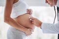 Proteína IRS2: Descubren su Papel Crítico en la Formación de la Placenta y el Crecimiento Fetal