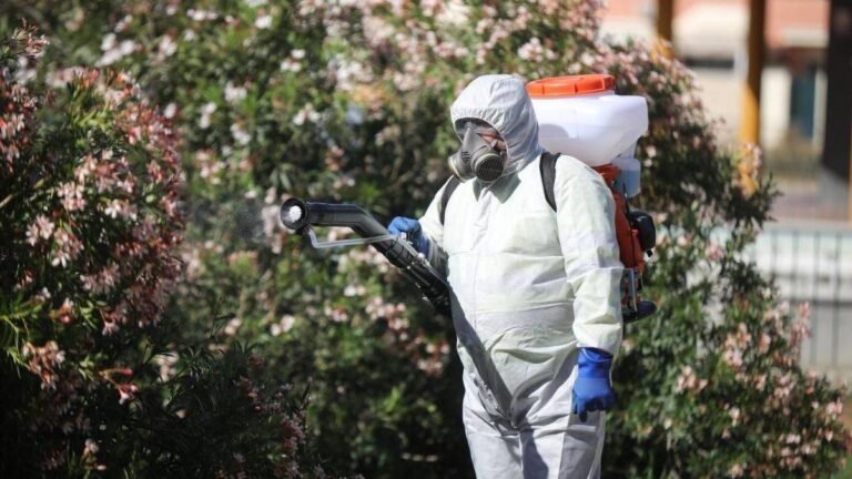 Virus del Nilo Occidental en 2026: Análisis Clínico, Vigilancia y Respuesta Sanitaria