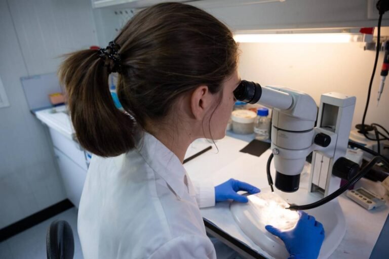 Nuevos Biomarcadores Duplican la Precisión en la Detección Temprana de la Aterosclerosis Silenciosa
