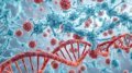 Proteína PD-L2: El Mecanismo Celular que Oculta el Envejecimiento del Sistema Inmunitario