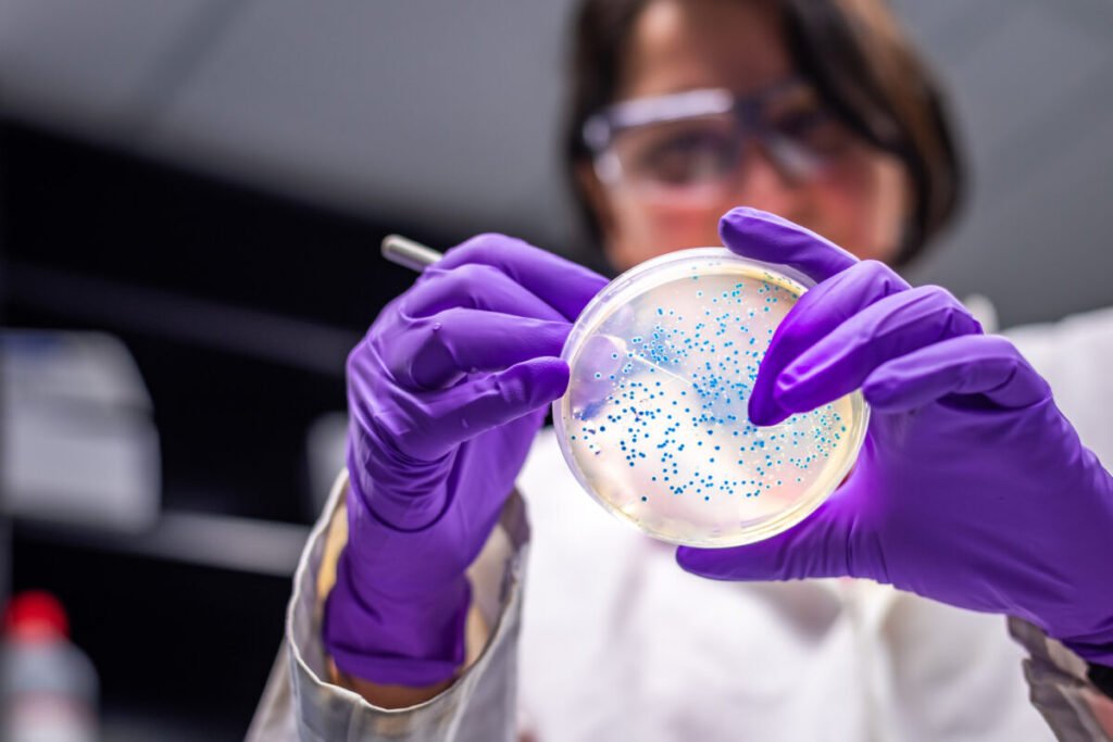 E. coli desarrolla nuevas estrategias de adhesión intestinal tras perder su mecanismo principal